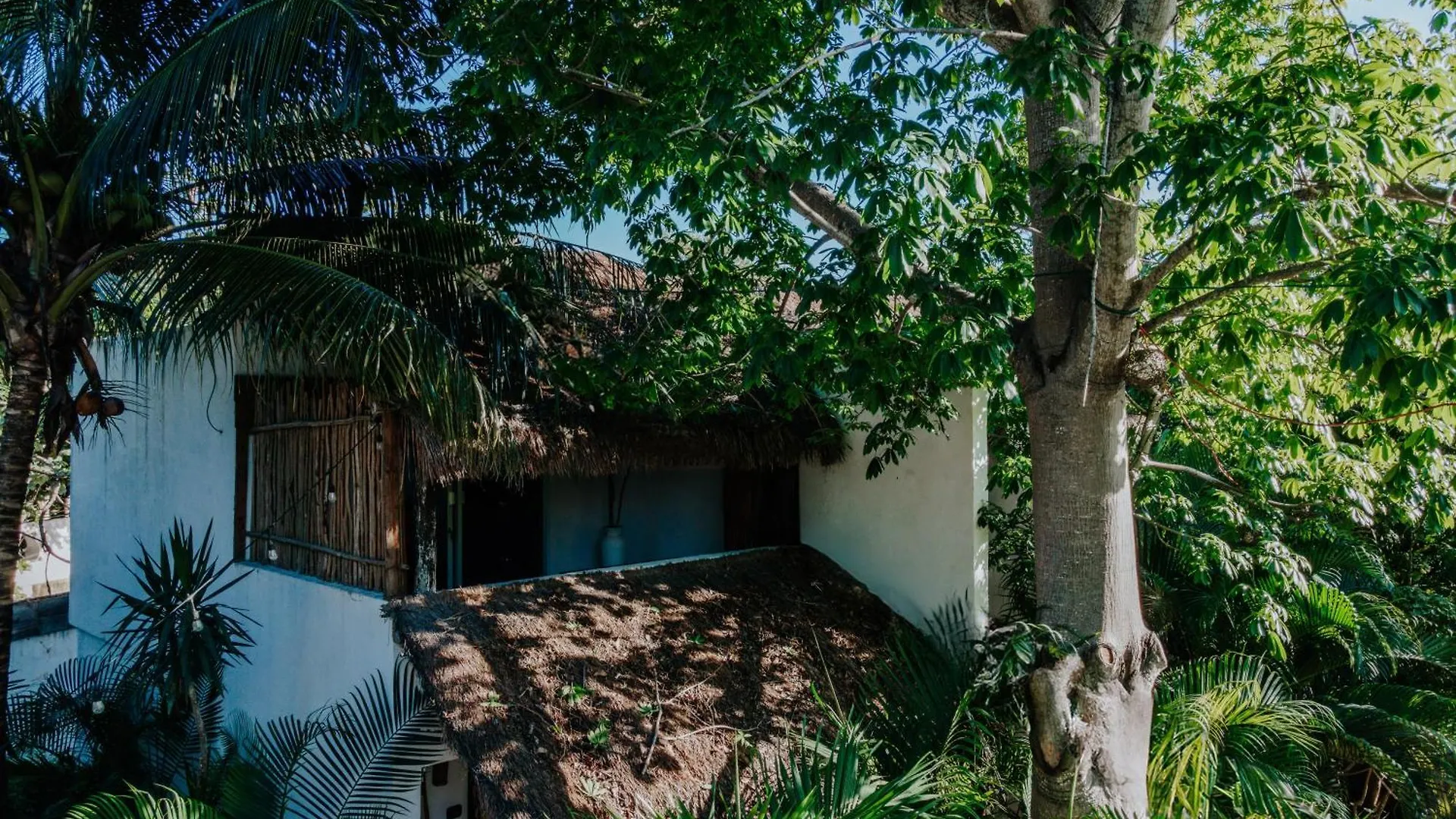 Icastico Tulum Hotel Mexikó
