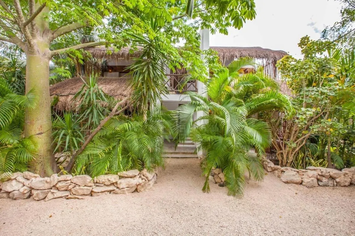 Hotel Icastico Tulum México
